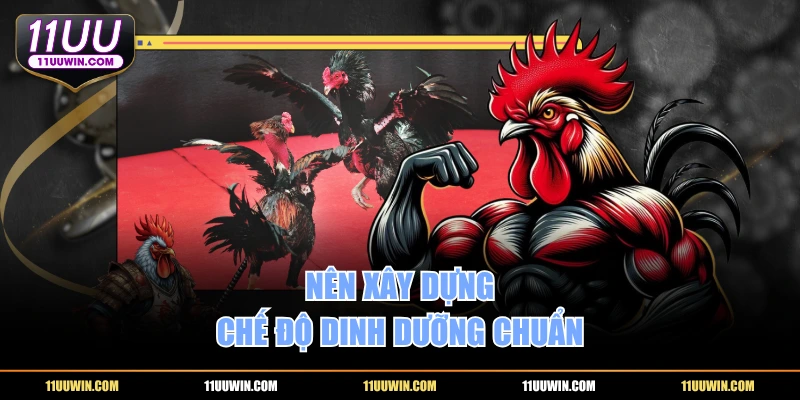 Nên xây dựng chế độ dinh dưỡng chuẩn