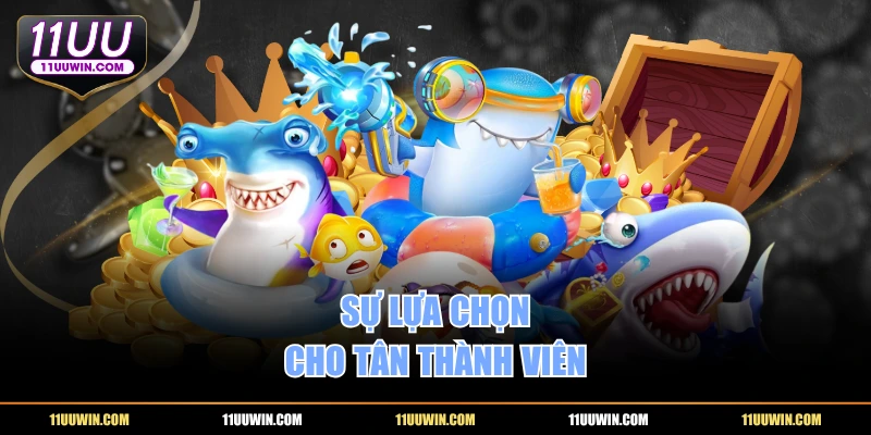 Sự lựa chọn cho tân thành viên